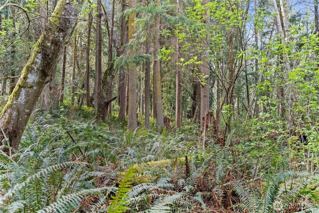0 Greenoch Loop, Oak Harbor, WA 98277 - photo 9