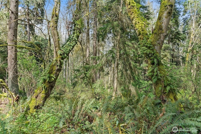0 Greenoch Loop, Oak Harbor, WA 98277 - photo 10