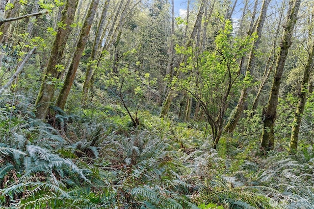 0 Greenoch Loop, Oak Harbor, WA 98277 - photo 11