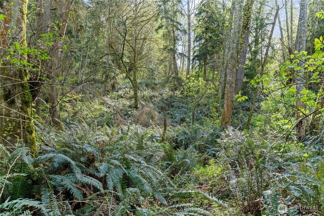 0 Greenoch Loop, Oak Harbor, WA 98277 - photo 12