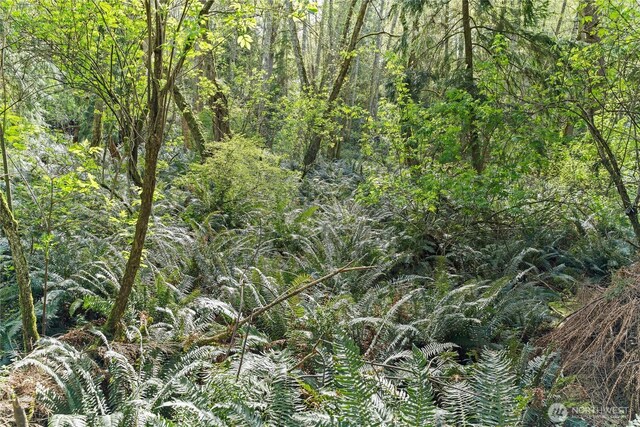 0 Greenoch Loop, Oak Harbor, WA 98277 - photo 13