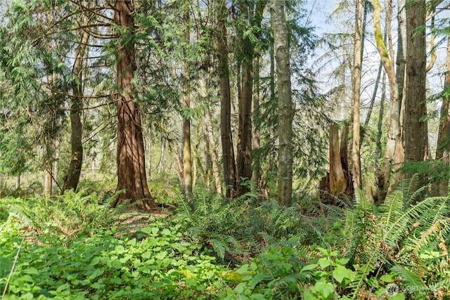 0 Greenoch Loop, Oak Harbor, WA 98277 - photo 15
