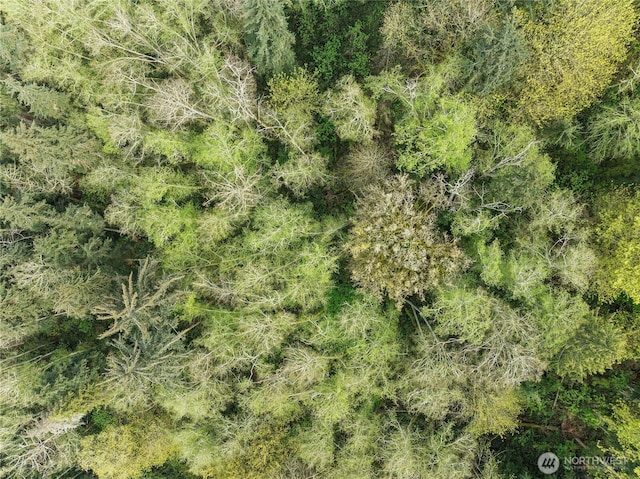 0 Greenoch Loop, Oak Harbor, WA 98277 - photo 17