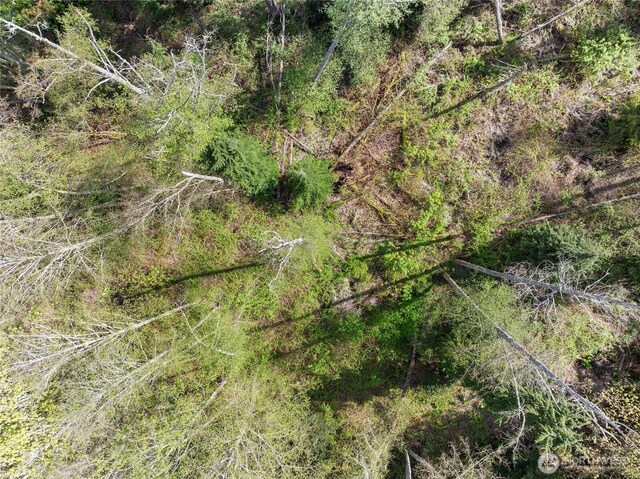0 Greenoch Loop, Oak Harbor, WA 98277 - photo 22