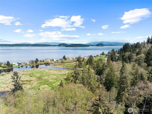 0 Greenoch Loop, Oak Harbor, WA 98277 - photo 27
