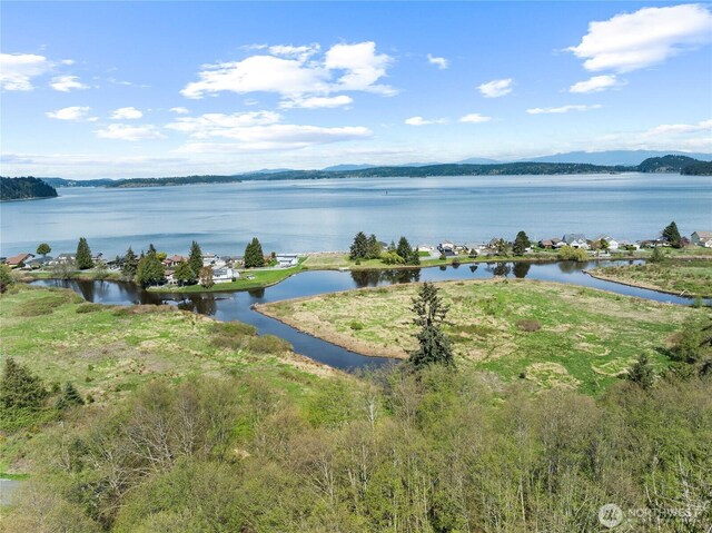 0 Greenoch Loop, Oak Harbor, WA 98277 - photo 29