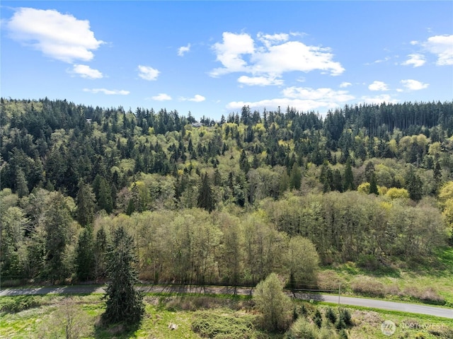 0 Greenoch Loop, Oak Harbor, WA 98277 - photo 30