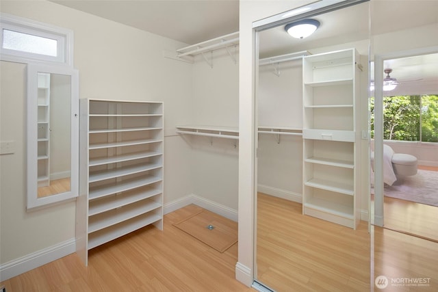 spacious closet featuring wood finished floors and a ceiling fan