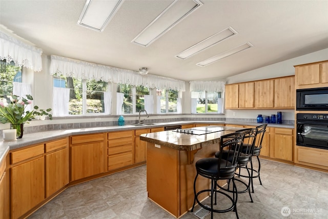 4592 Evenstar Ln, Freeland, WA 98249 - kitchen with black appliances, a sink, vaulted ceiling, a kitchen island, and a kitchen bar