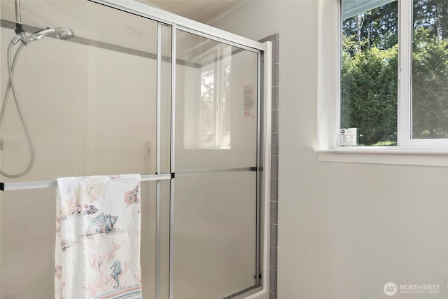 4592 Evenstar Ln, Freeland, WA 98249 - bathroom with a shower with shower door
