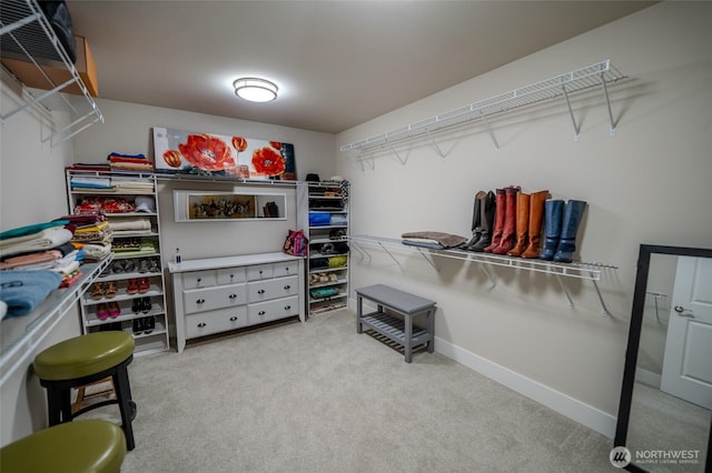 29027 NE 156th St, Duvall, WA 98019 - spacious closet featuring carpet