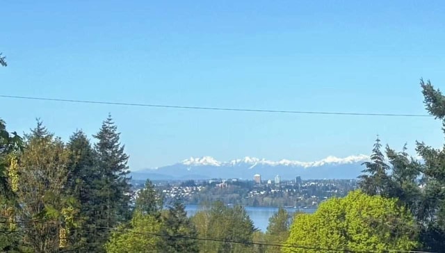 11703 NE 80th St Unit D3, Kirkland, WA 98033 - mountain view