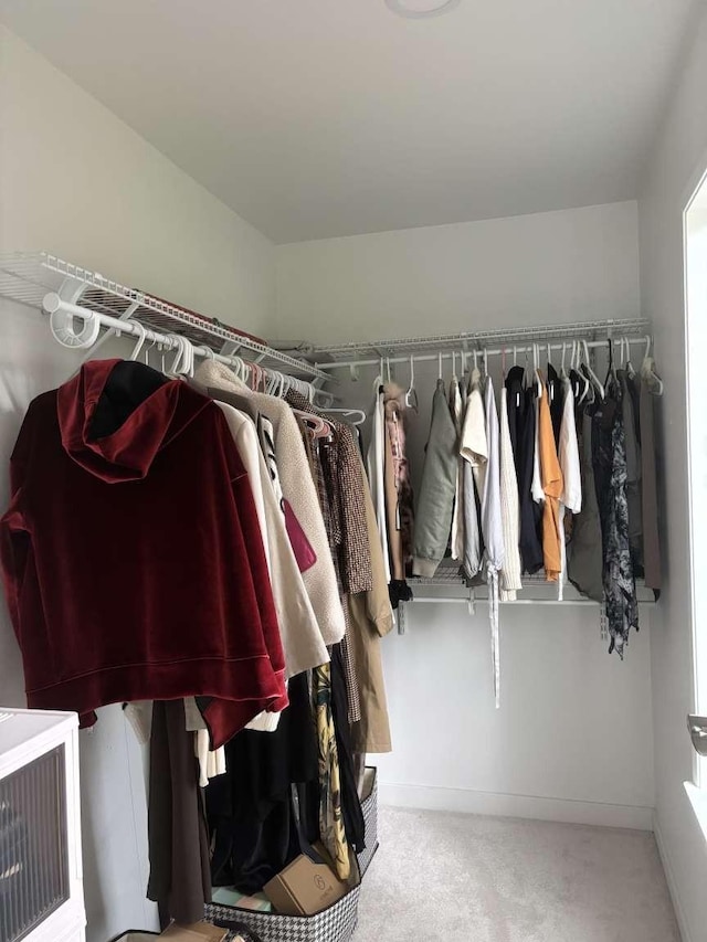 11703 NE 80th St Unit D3, Kirkland, WA 98033 - spacious closet with carpet flooring