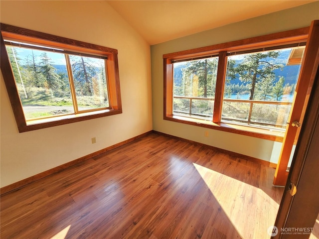empty room with lofted ceiling, a healthy amount of sunlight, baseboards, and wood finished floors