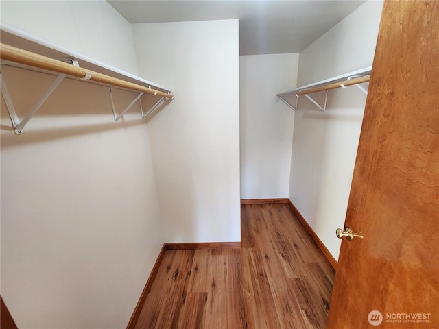 walk in closet featuring wood finished floors
