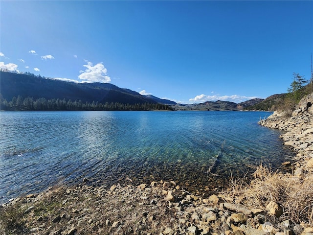 water view featuring a mountain view