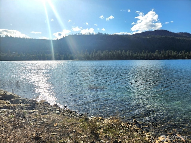 property view of water with a forest view and a mountain view