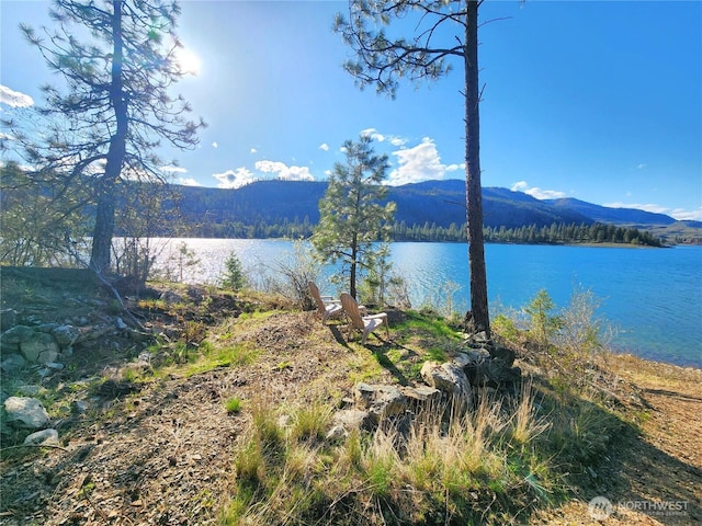 property view of water with a view of trees and a mountain view