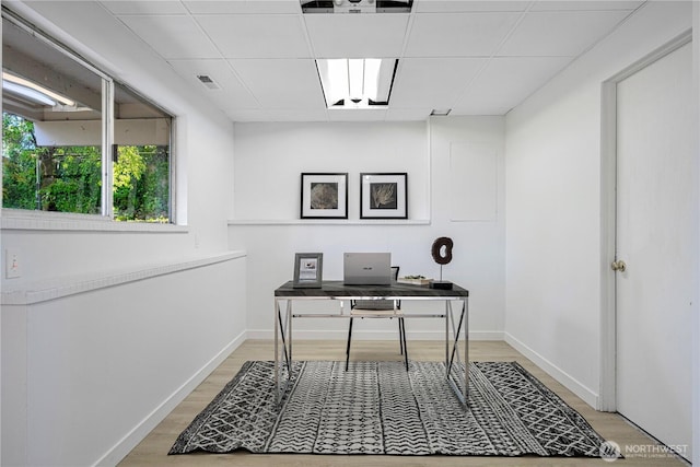 office with baseboards, visible vents, a drop ceiling, and light wood-style flooring