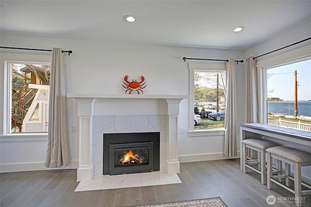 room details featuring a water view, baseboards, recessed lighting, wood finished floors, and a fireplace