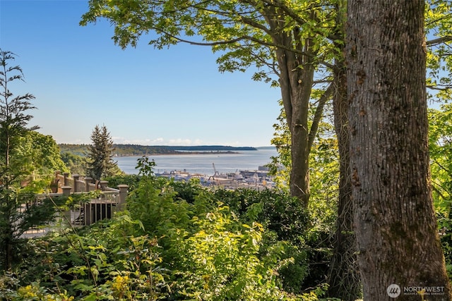2531 11th Ave W, Seattle, WA 98119 - water view