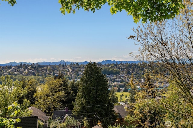2531 11th Ave W, Seattle, WA 98119 - view of mountain backdrop