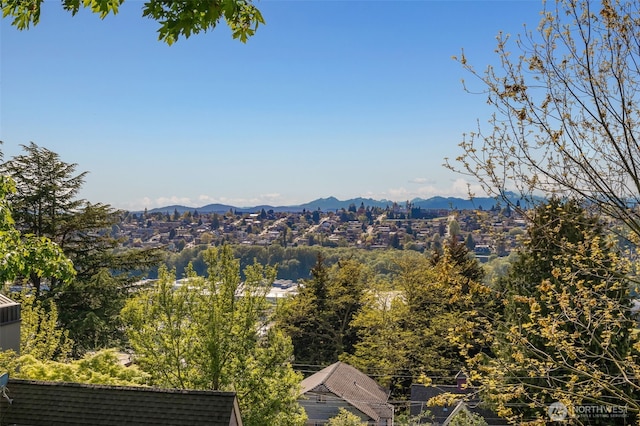 2531 11th Ave W, Seattle, WA 98119 - mountain view