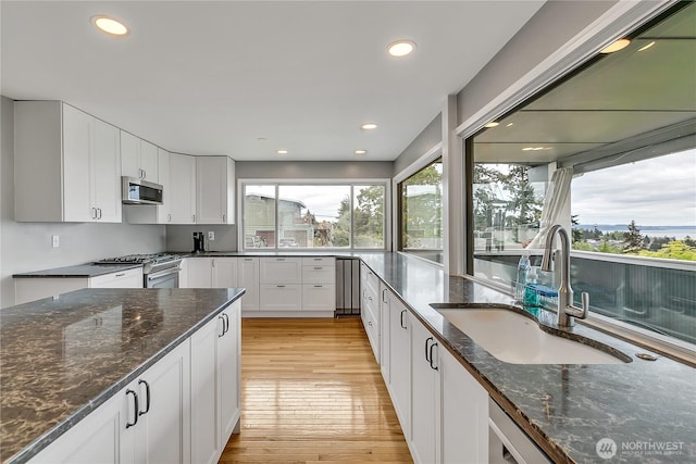 kitchen featuring plenty of natural light, a sink, light wood-style floors, and stainless steel appliances