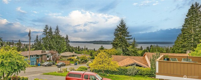 bird's eye view with a water view