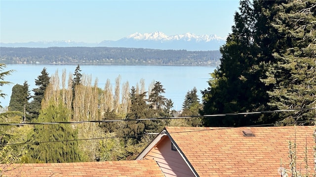 view of water feature with a view of trees