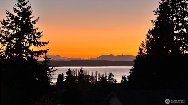 property view of water with a mountain view