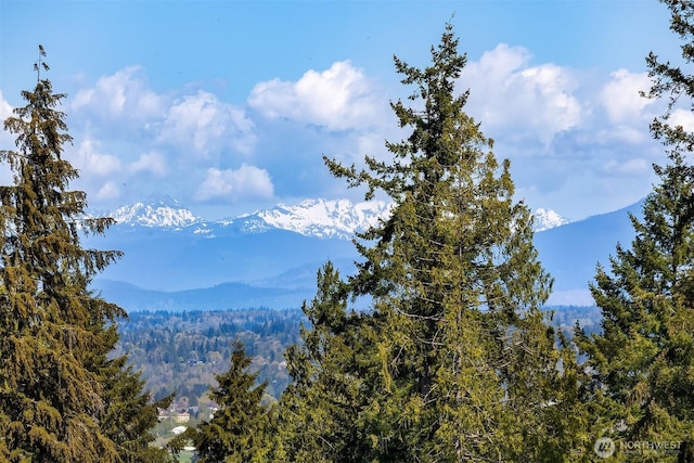 mountain view with a wooded view