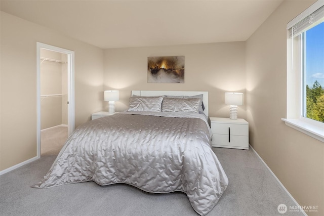 bedroom featuring carpet, a spacious closet, baseboards, and multiple windows