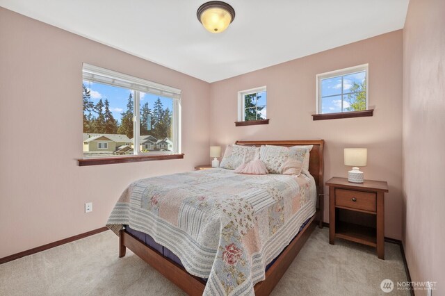 bedroom featuring baseboards, carpet, and multiple windows