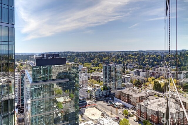 500 106th Ave NE Unit 3109, Bellevue, WA 98004 - view of city
