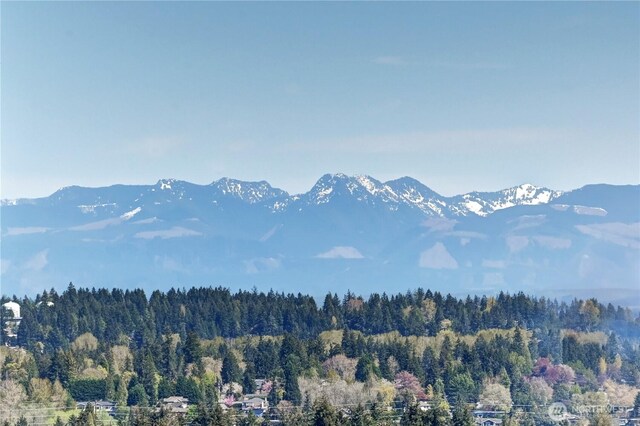 500 106th Ave NE Unit 3109, Bellevue, WA 98004 - property view of mountains featuring a wooded view