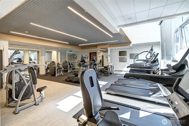 500 106th Ave NE Unit 3109, Bellevue, WA 98004 - exercise room featuring carpet