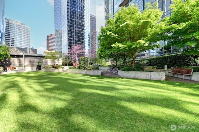 500 106th Ave NE Unit 3109, Bellevue, WA 98004 - view of yard with a view of city