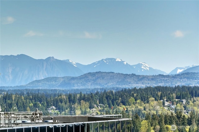 500 106th Ave NE Unit 3109, Bellevue, WA 98004 - property view of mountains with a wooded view