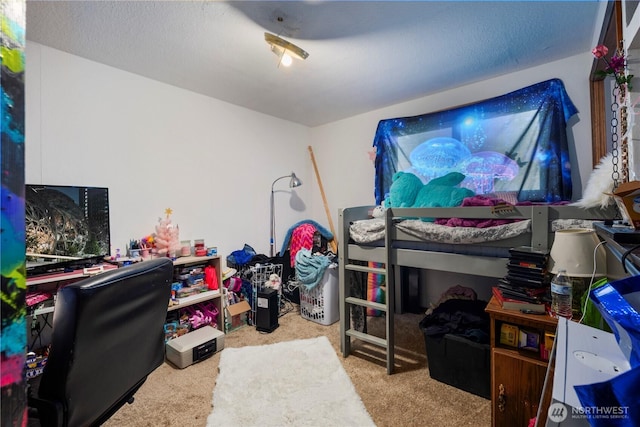 15721 67th Ave NE, Arlington, WA 98223 - bedroom with carpet floors