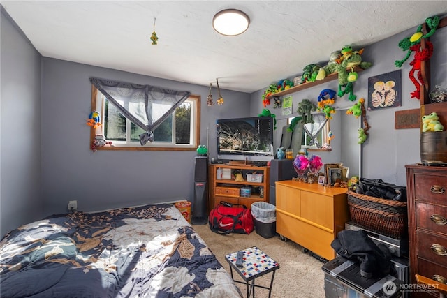 15721 67th Ave NE, Arlington, WA 98223 - bedroom featuring carpet flooring