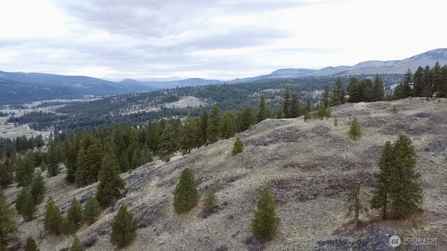 8 Fawn Ln, Tonasket, WA 98855