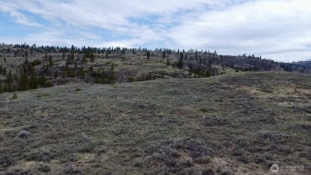 0 Round Up Rd, Oroville, WA 98844