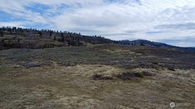 0 Round Up Rd, Oroville, WA 98844