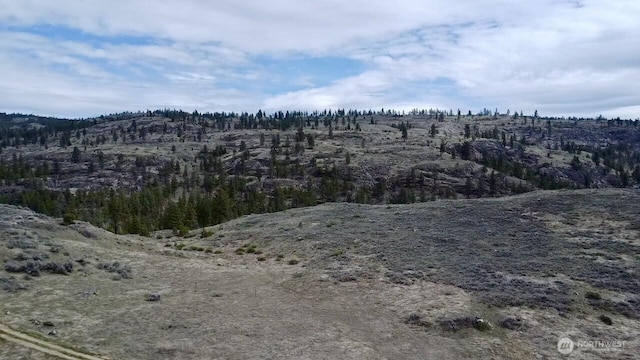 0 Round Up Rd, Oroville, WA 98844