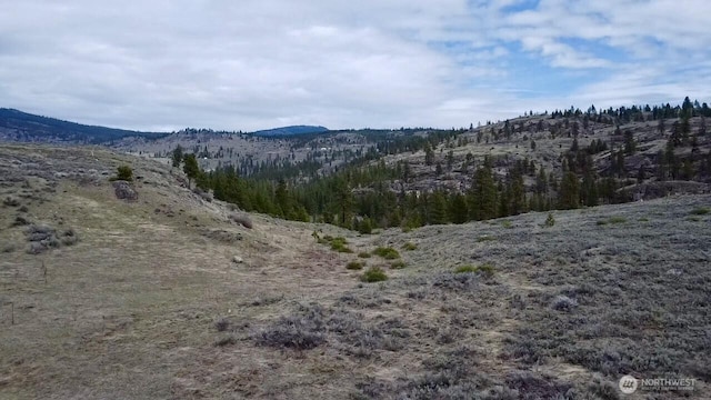 0 Round Up Rd, Oroville, WA 98844