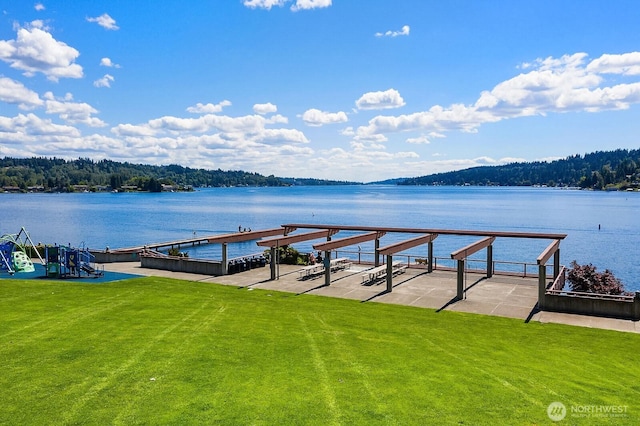 3222 107th Ave SE, Bellevue, WA 98004 - dock area with a water view and a yard