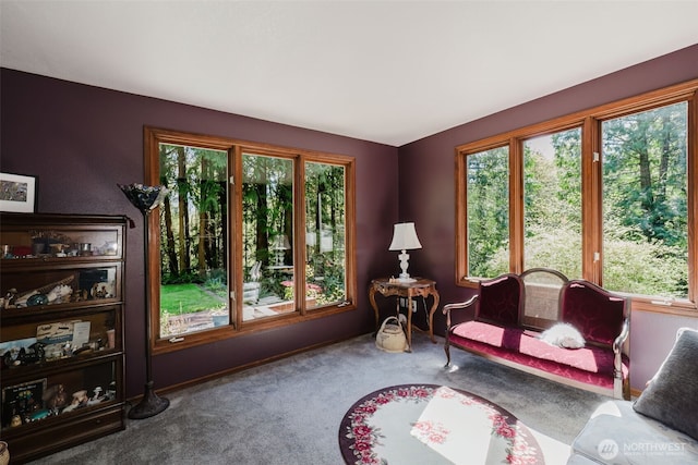 7680SE Southworth Dr, Port Orchard, WA 98366 - photo 8
