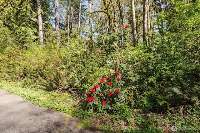 7680SE Southworth Dr, Port Orchard, WA 98366 - photo 32