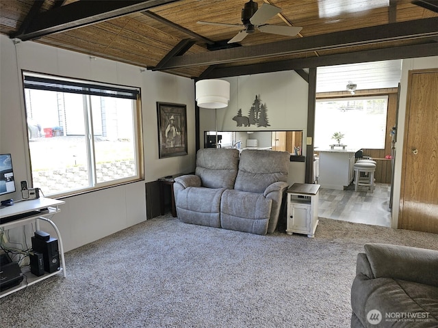 living area featuring lofted ceiling with beams, wooden ceiling, ceiling fan, and a healthy amount of sunlight
